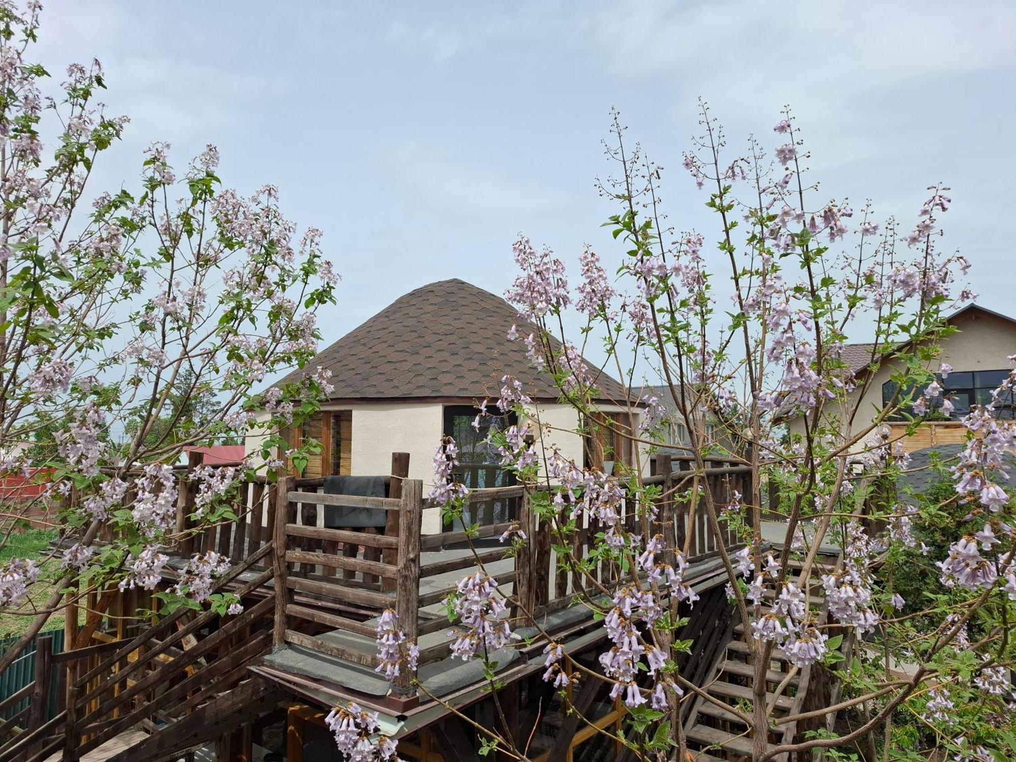 Happy Nomads Yurts & Hostel Karakoł Zewnętrze zdjęcie